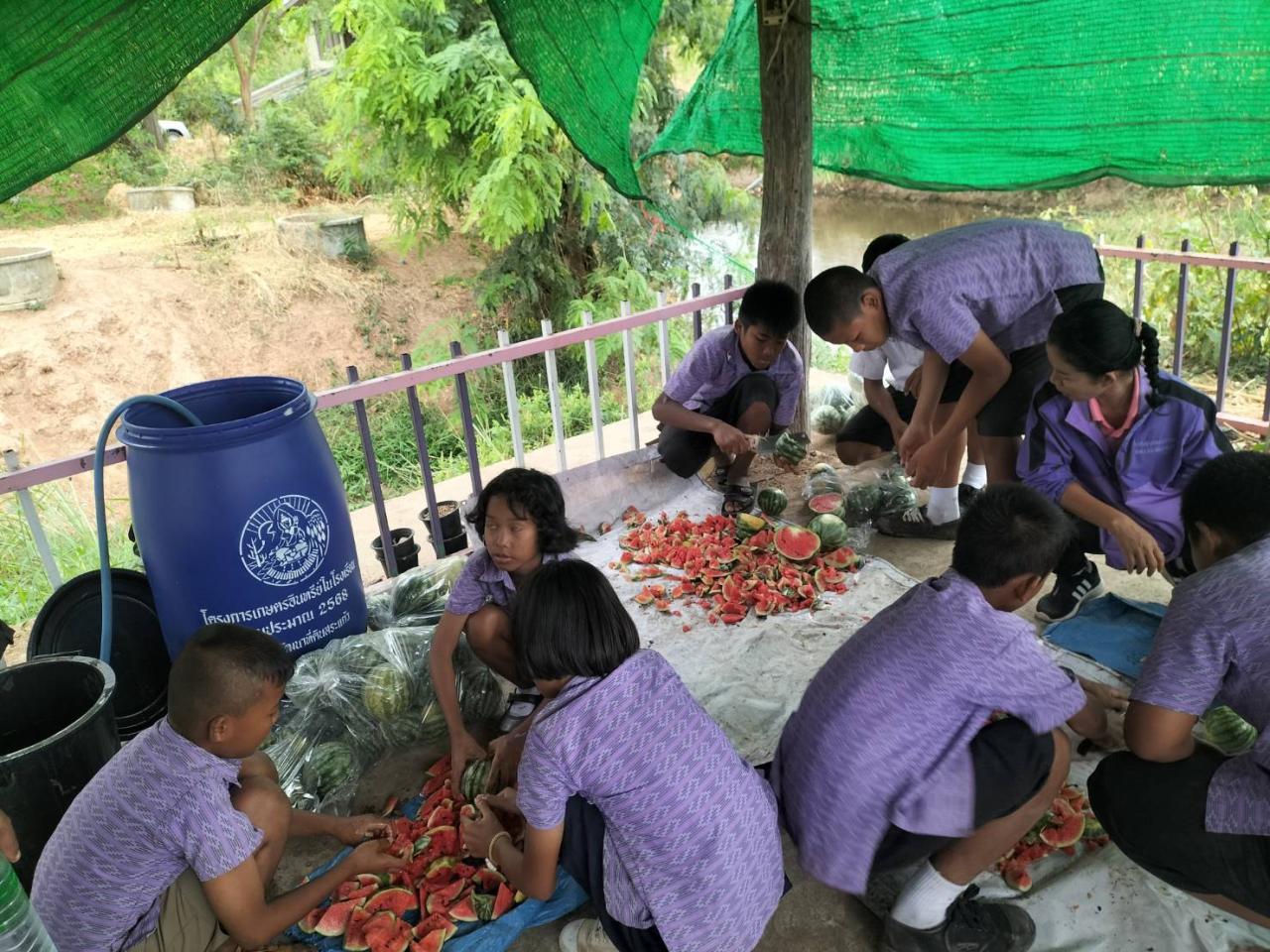 ภาพประกอบที่ 5