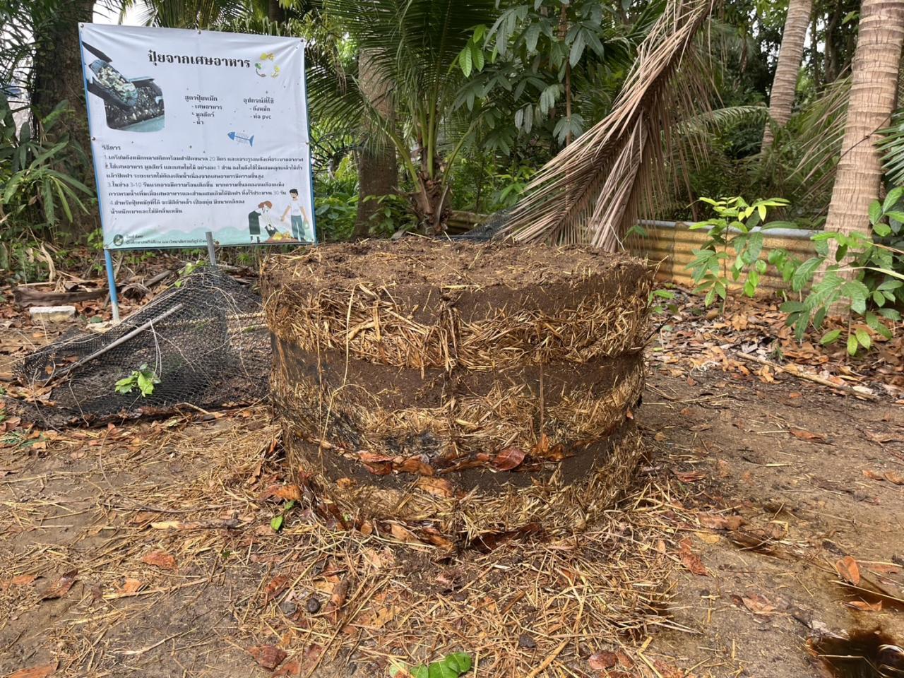 ภาพประกอบที่ 6