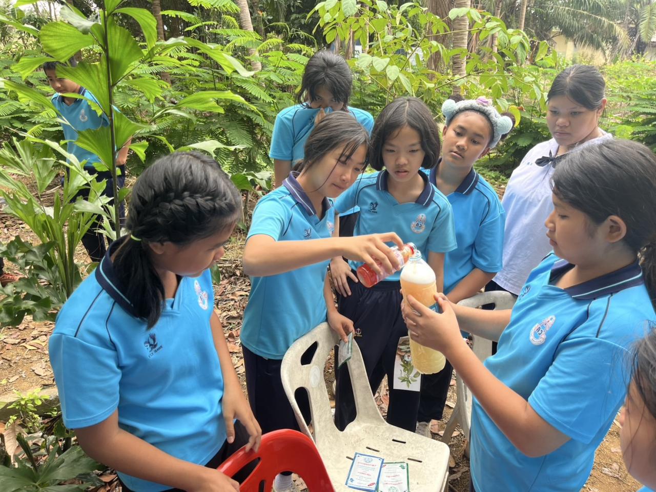 ภาพประกอบที่ 7