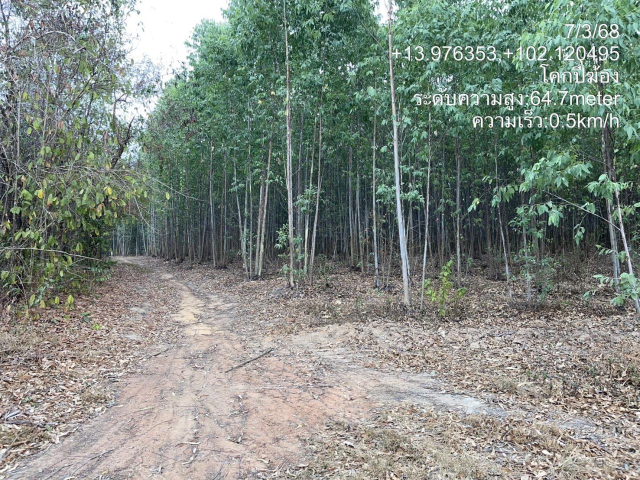 ภาพประกอบที่ 5