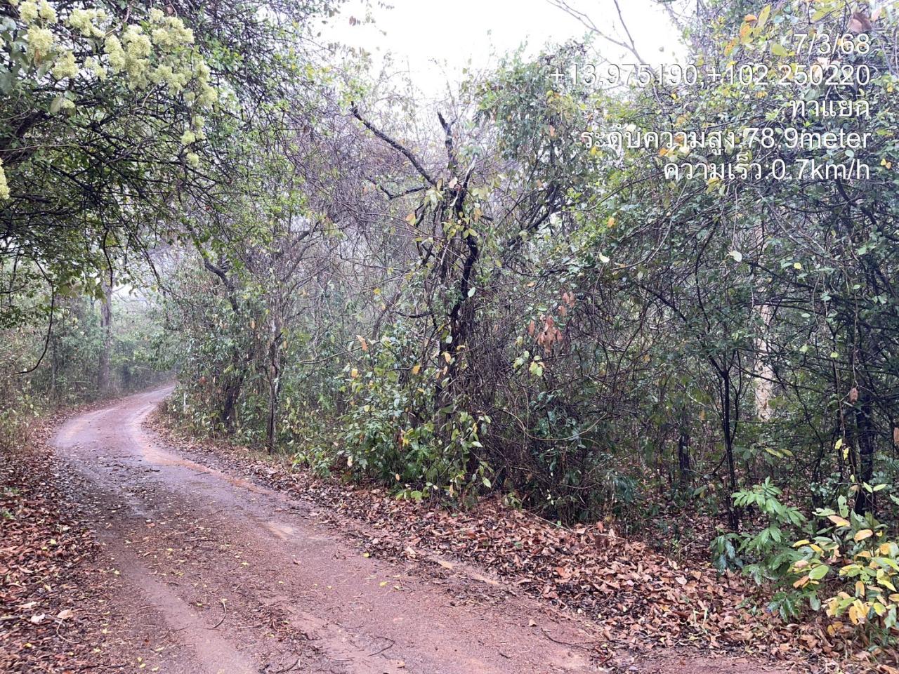 ภาพประกอบที่ 7