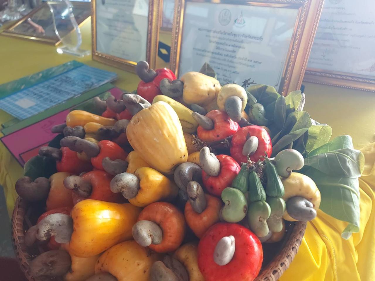 ภาพประกอบที่ 5