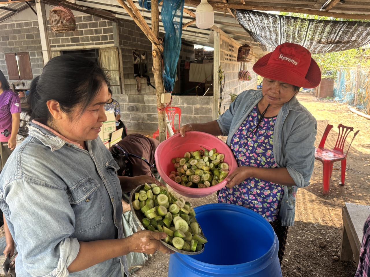 ภาพประกอบที่ 5