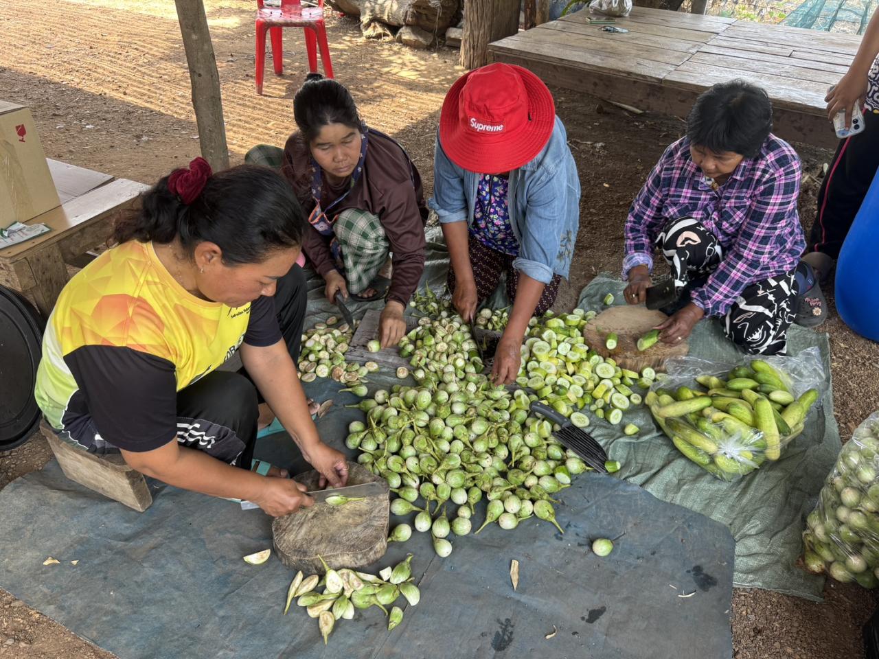 ภาพประกอบที่ 6