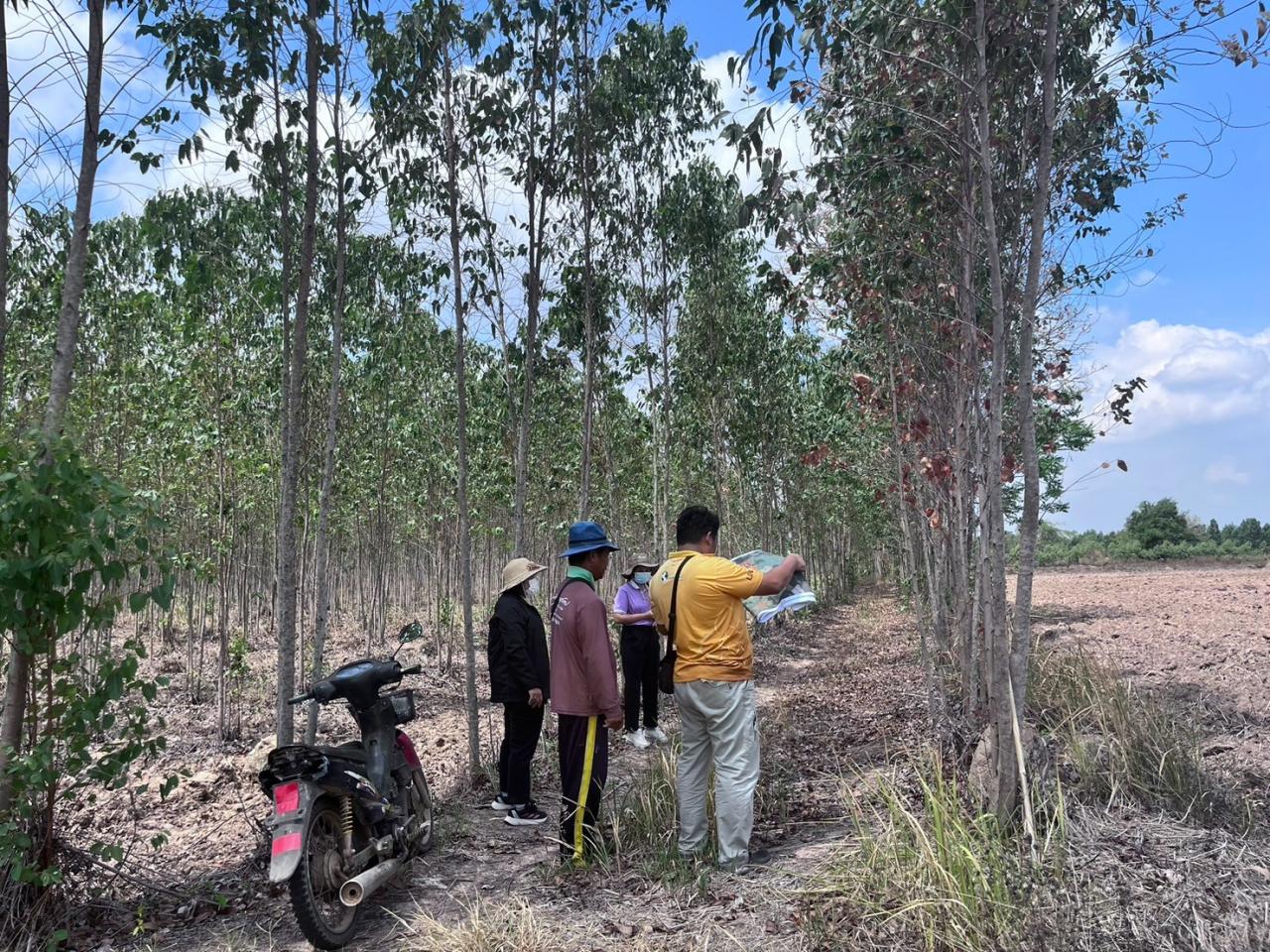 ภาพประกอบที่ 2