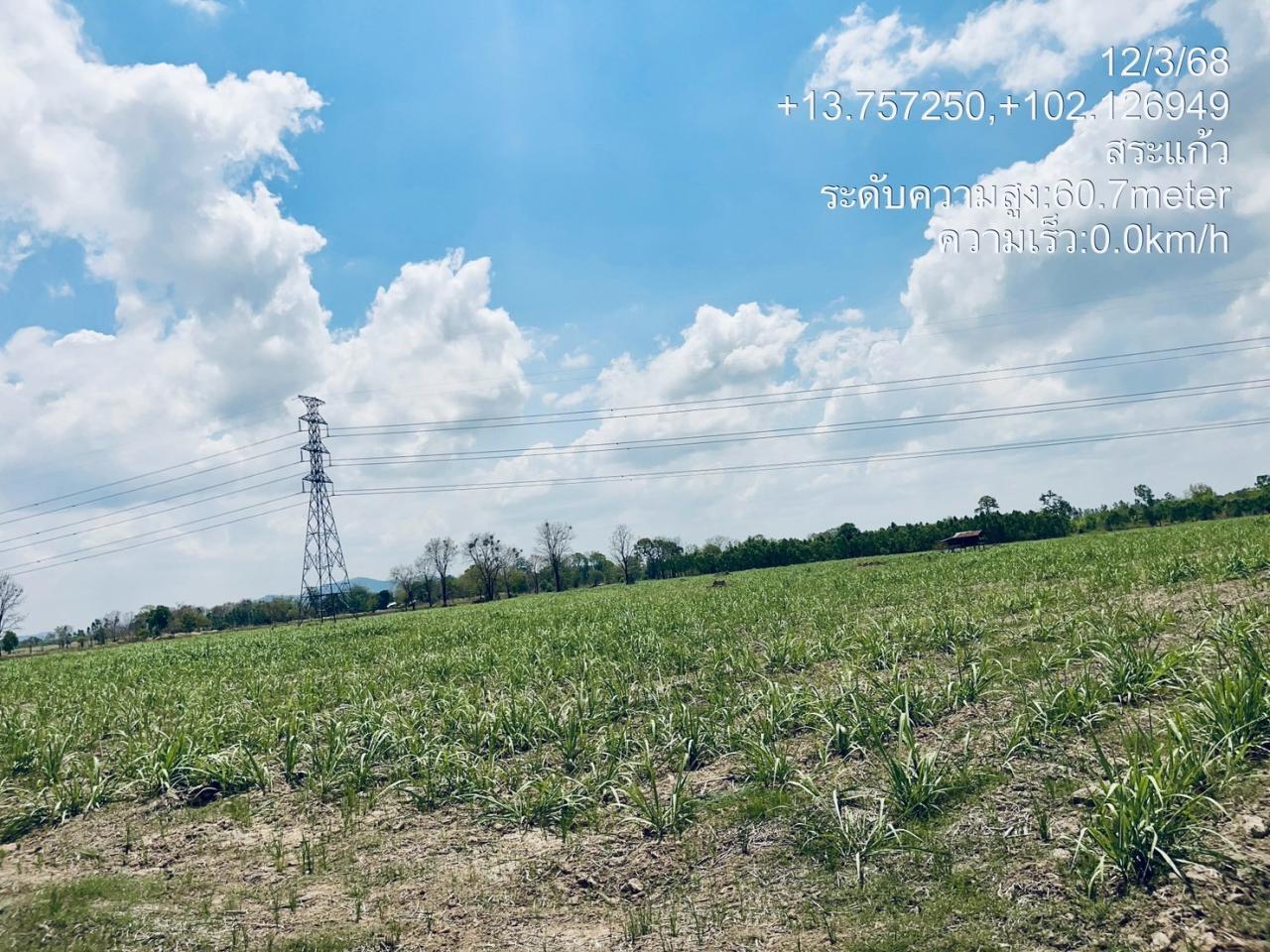 ภาพประกอบที่ 6