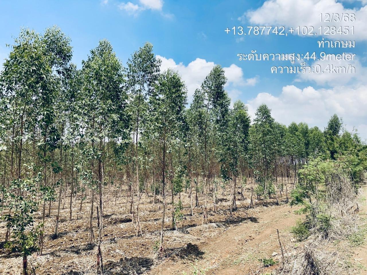 ภาพประกอบที่ 7