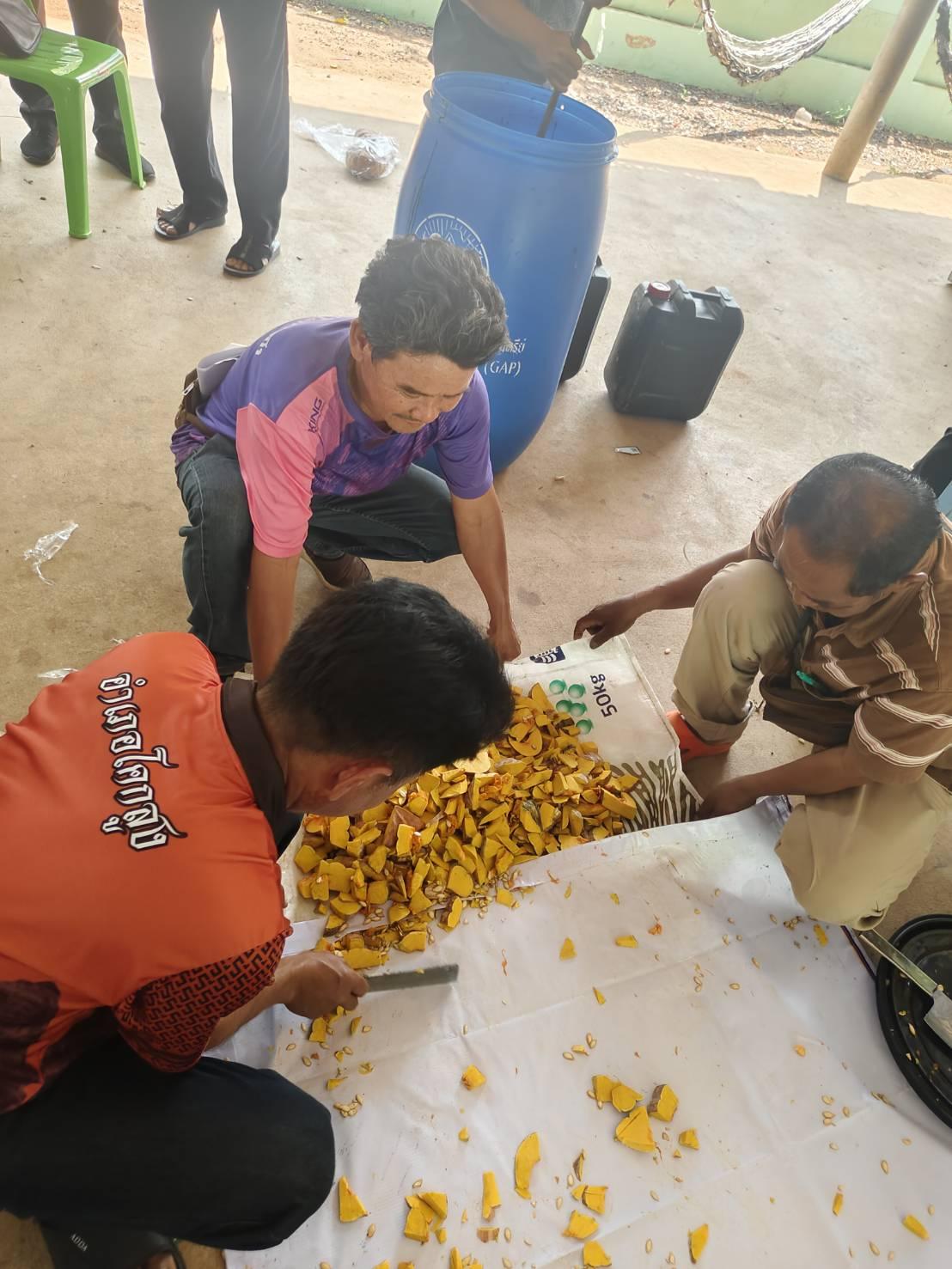 ภาพประกอบที่ 10