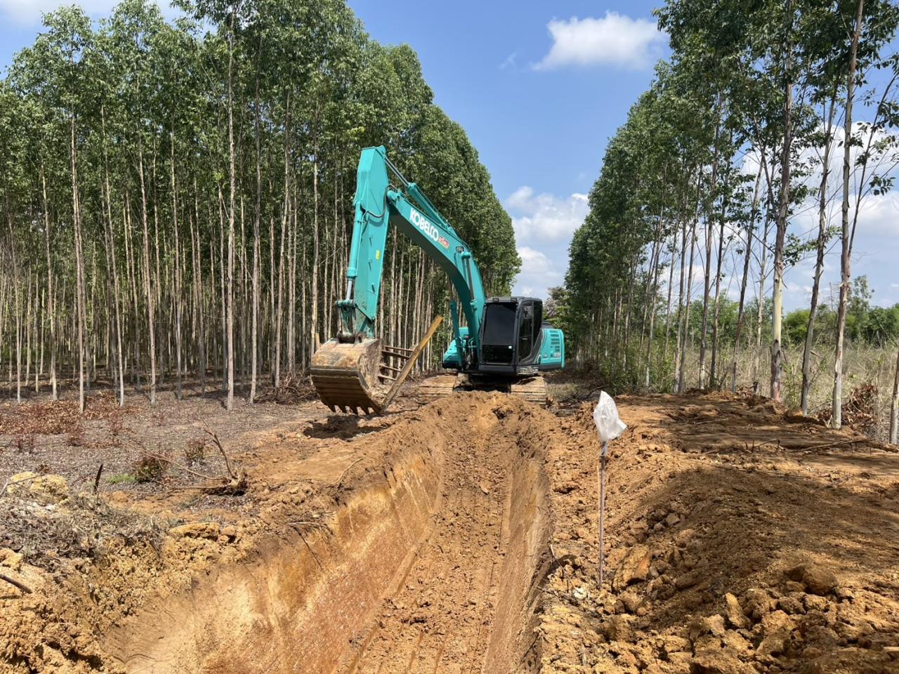 ภาพประกอบที่ 1