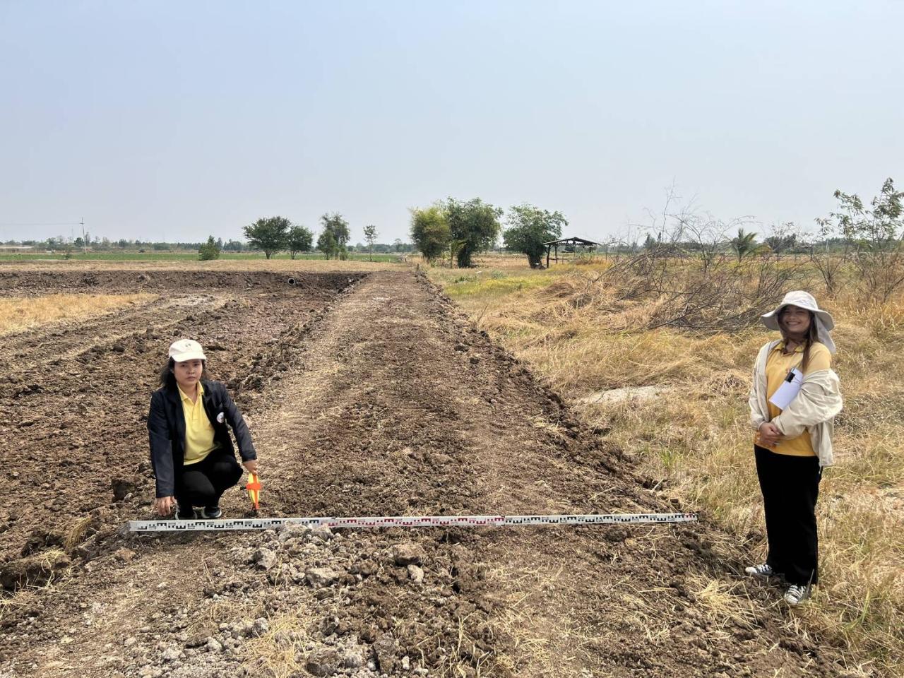 ภาพประกอบที่ 7