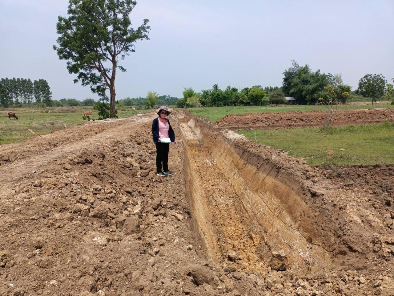 ภาพประกอบที่ 3