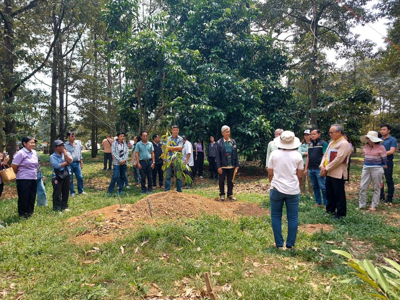 ภาพประกอบที่ 7