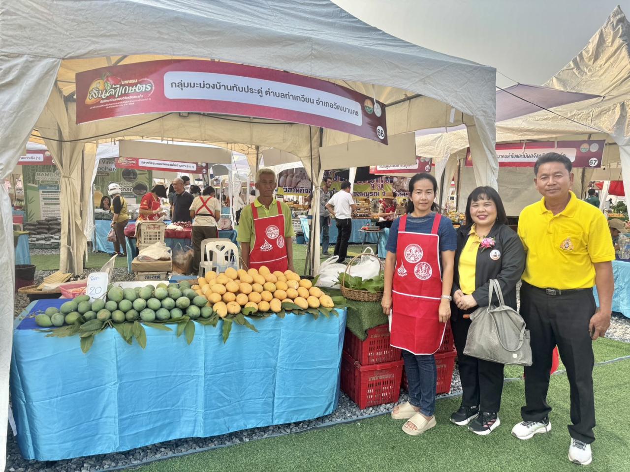 ภาพประกอบที่ 15