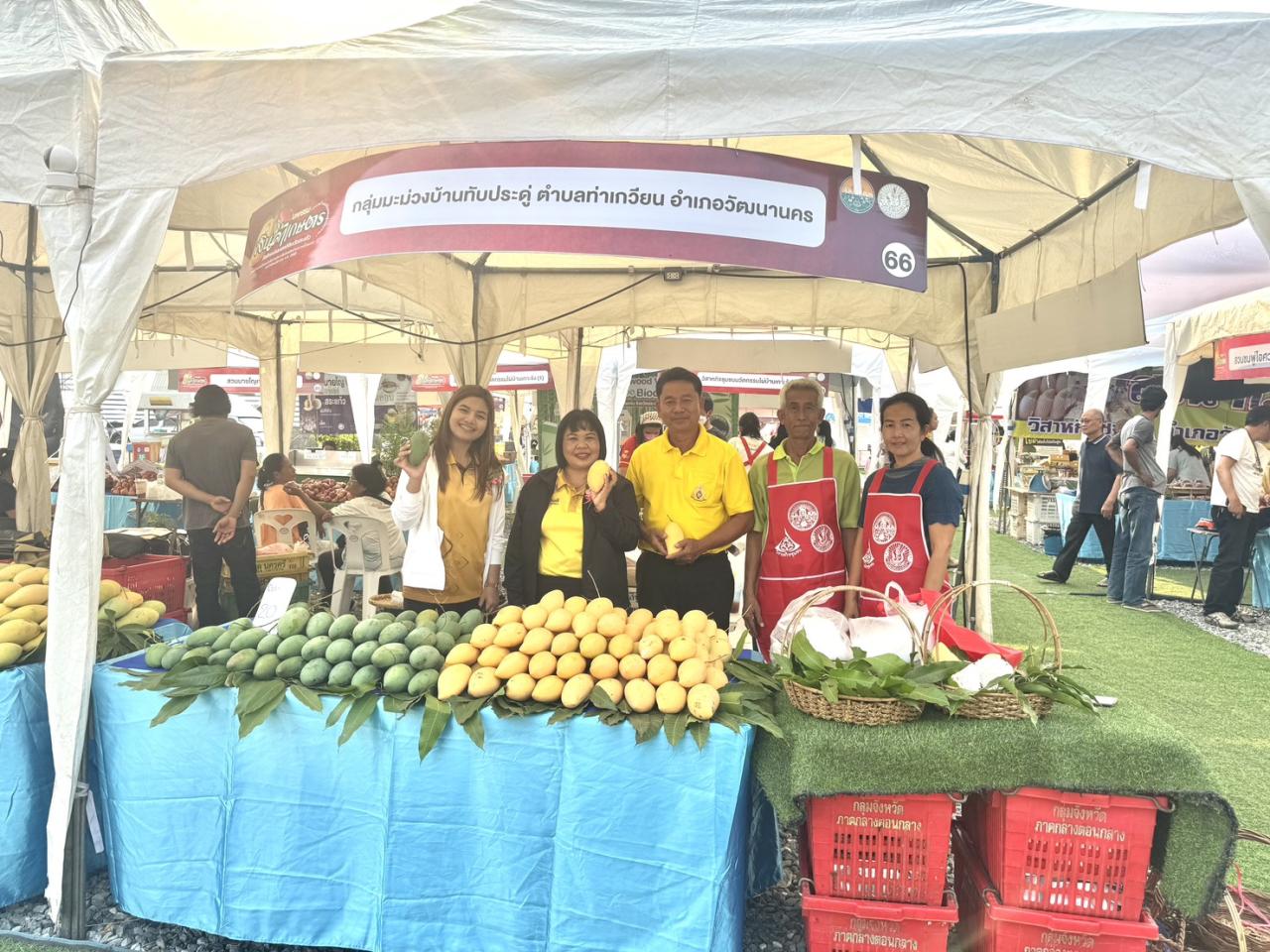 ภาพประกอบที่ 16