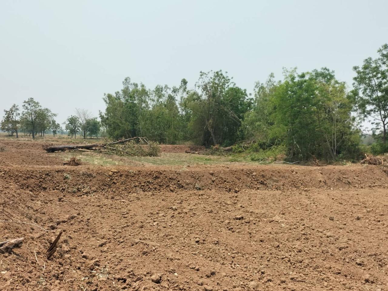 ภาพประกอบที่ 5