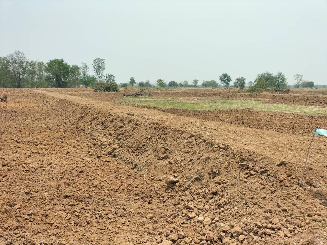 ภาพประกอบที่ 6