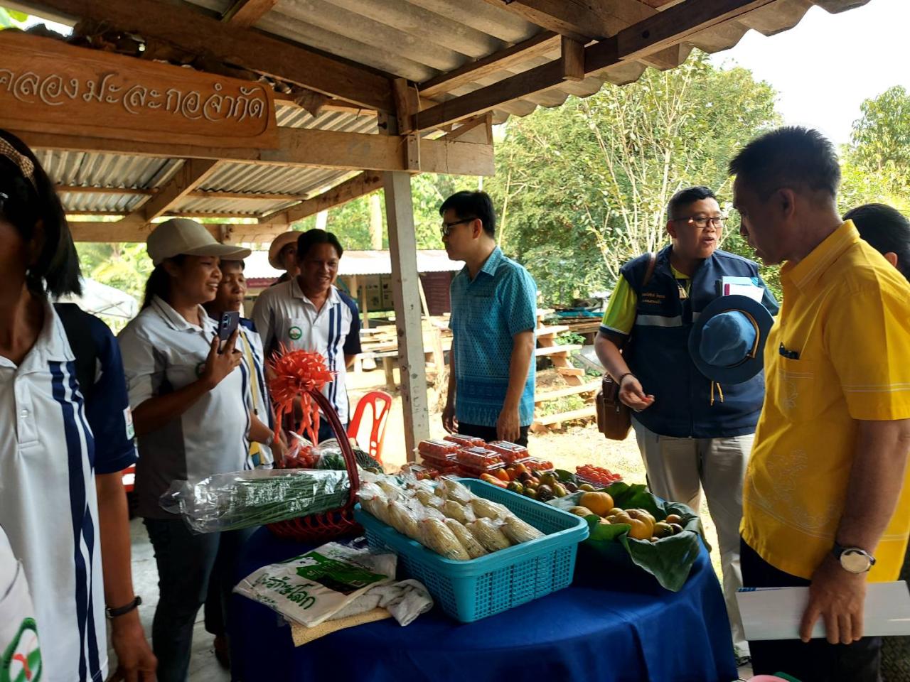 ภาพประกอบที่ 7