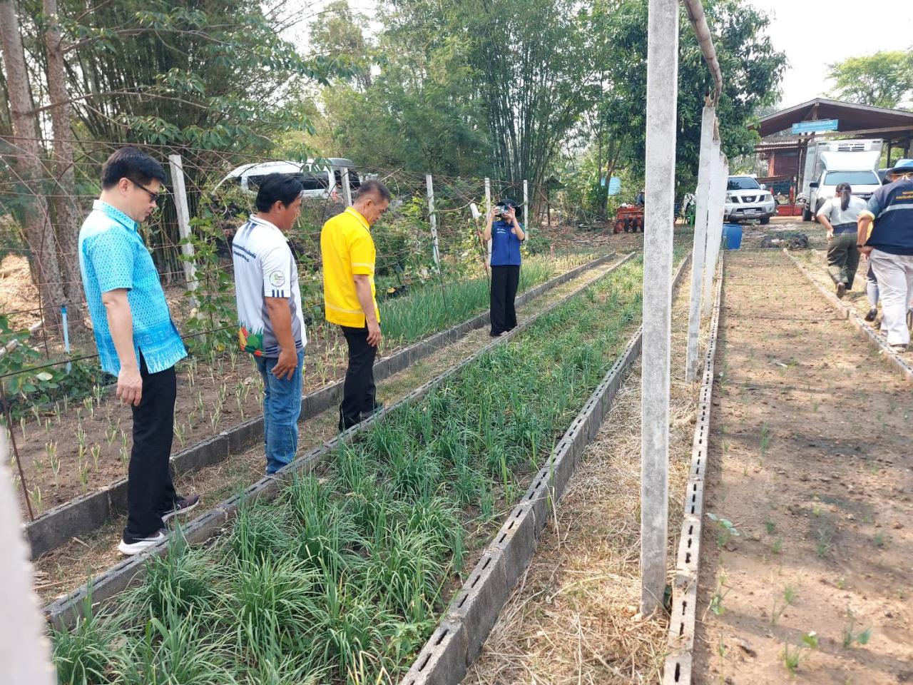 ภาพประกอบที่ 8