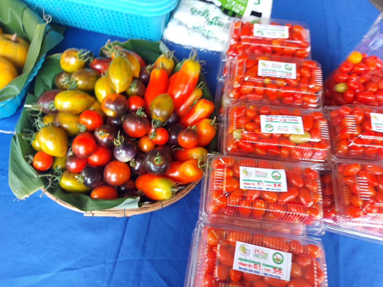 ภาพประกอบที่ 9