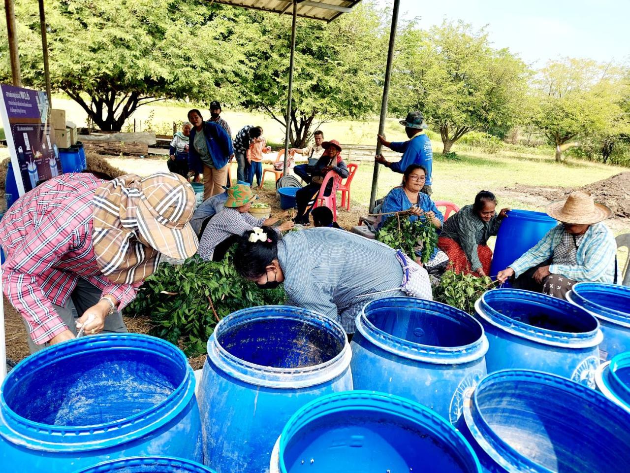 ภาพประกอบที่ 8