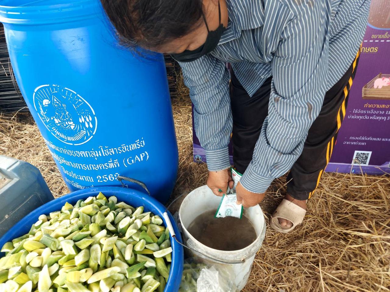 ภาพประกอบที่ 10