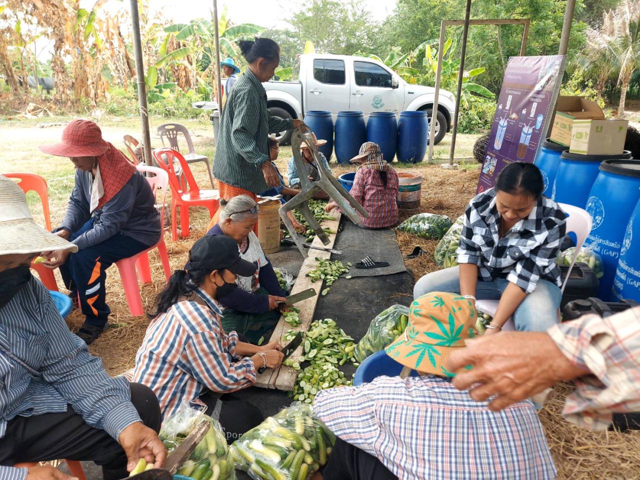 ภาพประกอบที่ 12