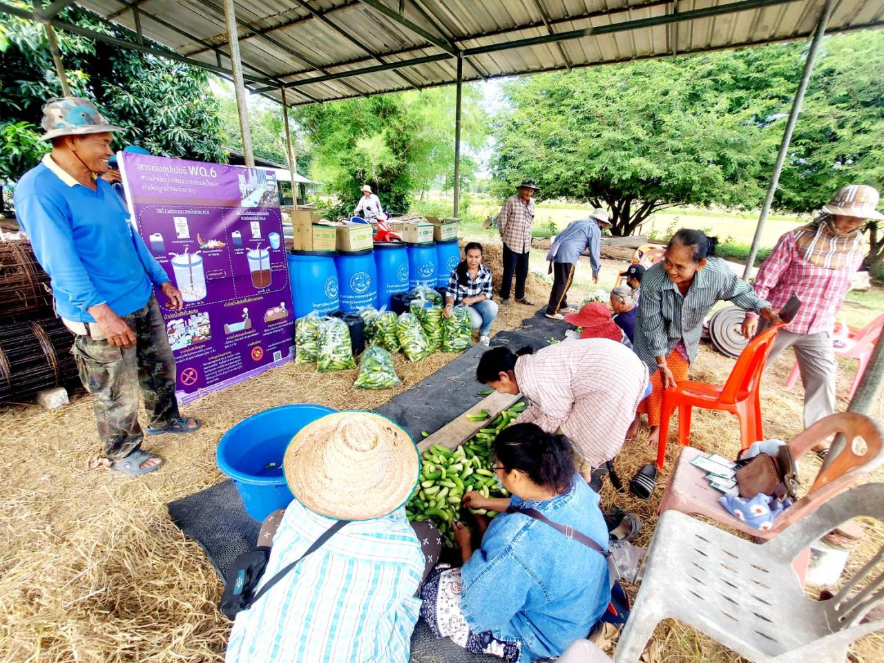 ภาพประกอบที่ 13