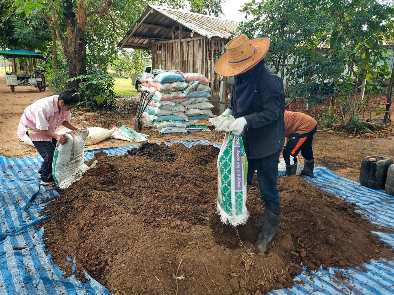 ภาพประกอบที่ 4