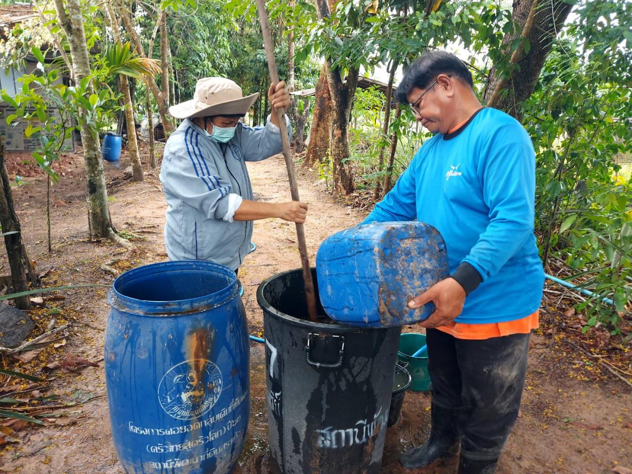 ภาพประกอบที่ 5