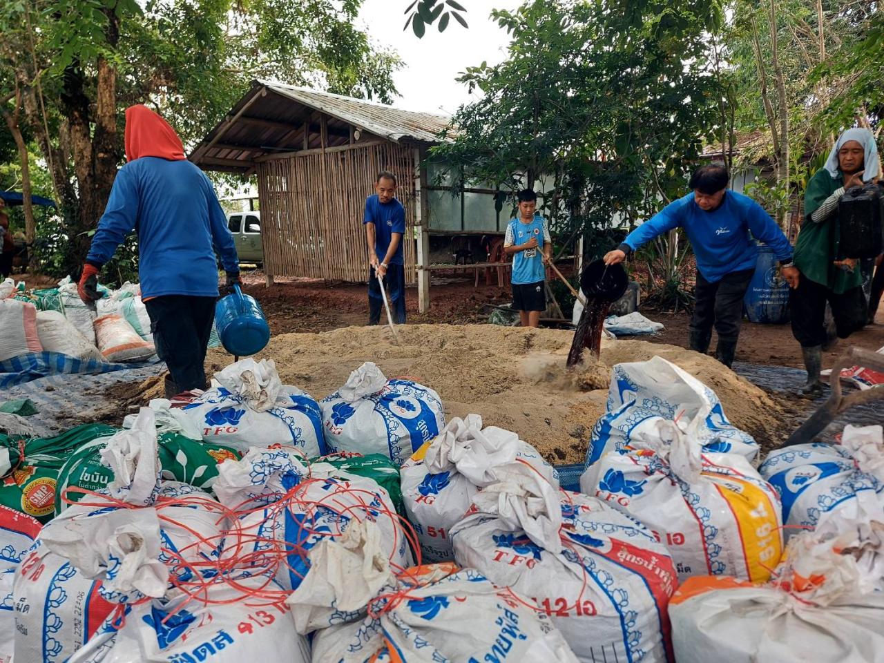 ภาพประกอบที่ 12