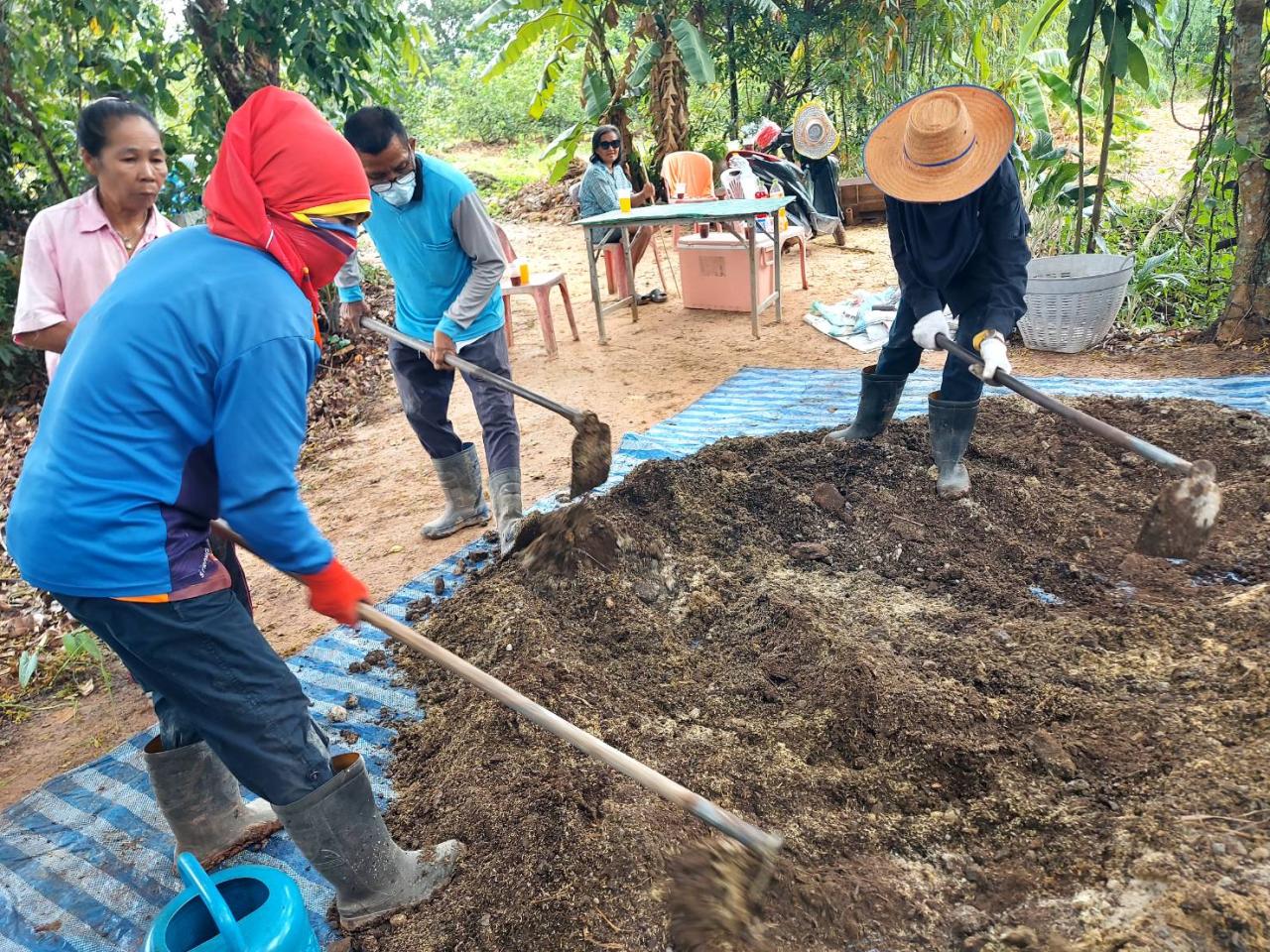 ภาพประกอบที่ 13