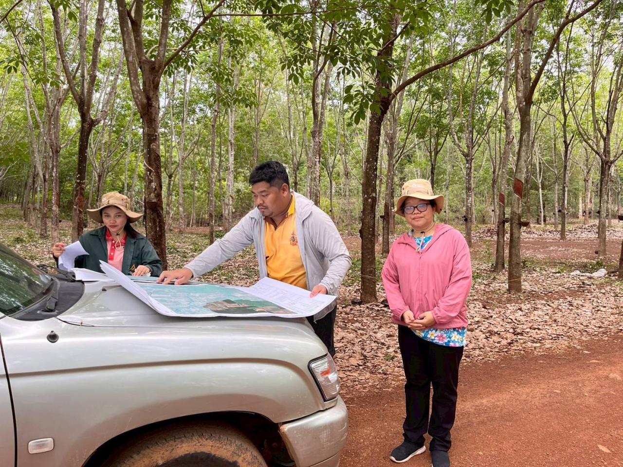 ภาพประกอบที่ 8