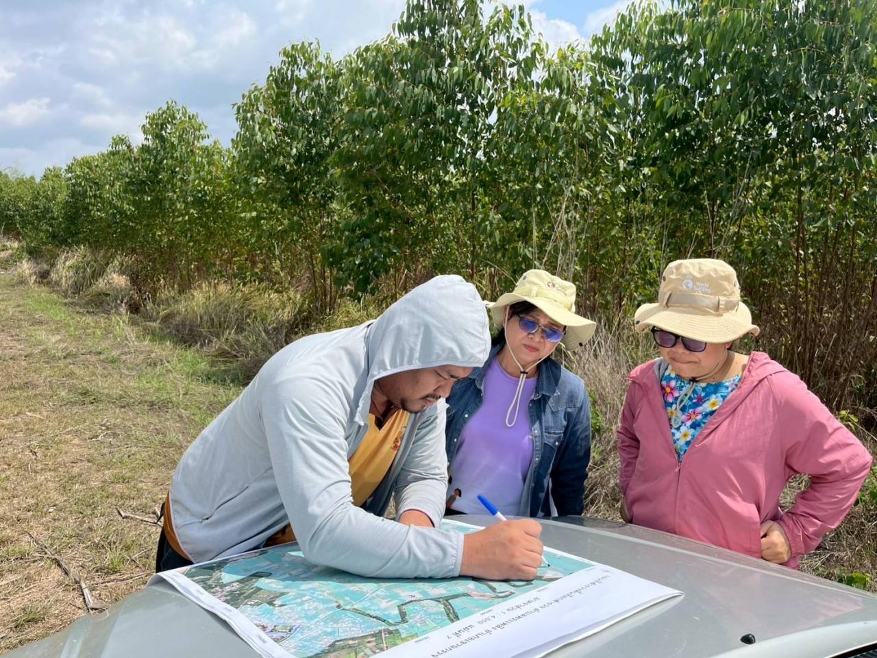 ภาพประกอบที่ 11