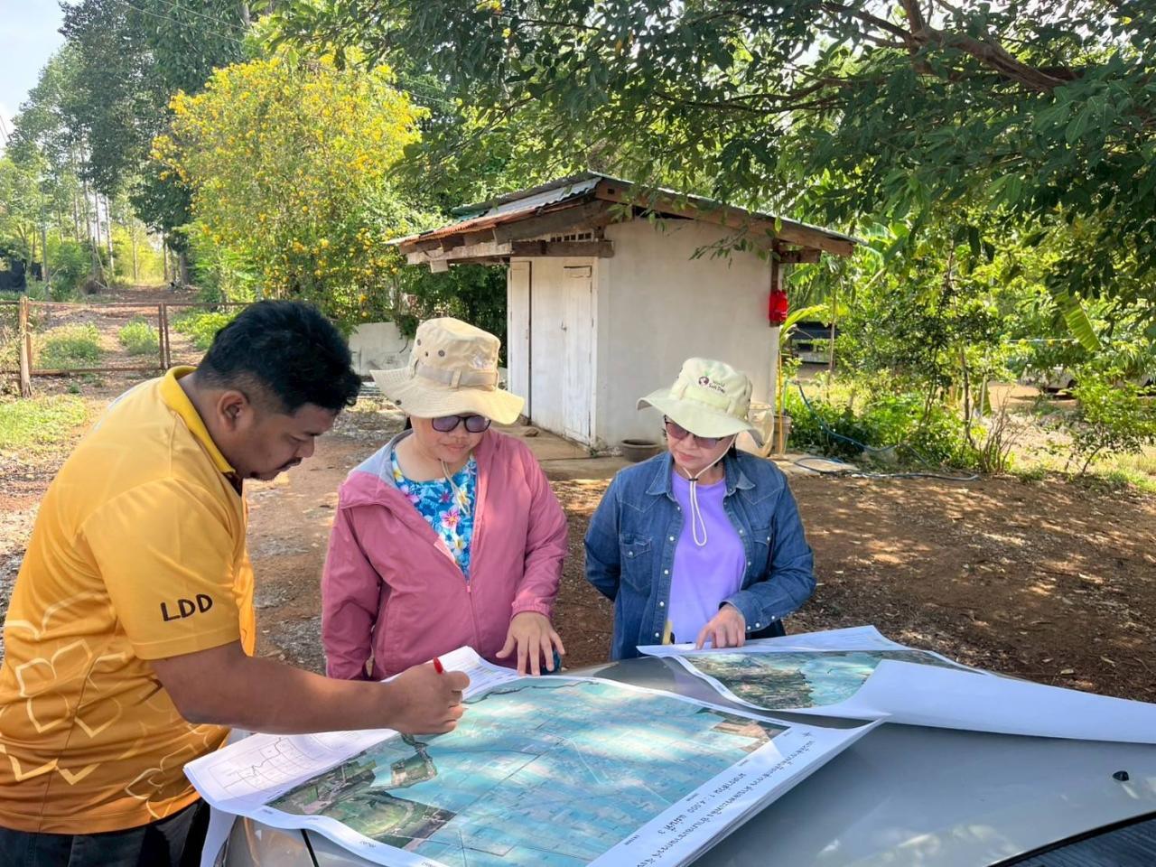 ภาพประกอบที่ 12