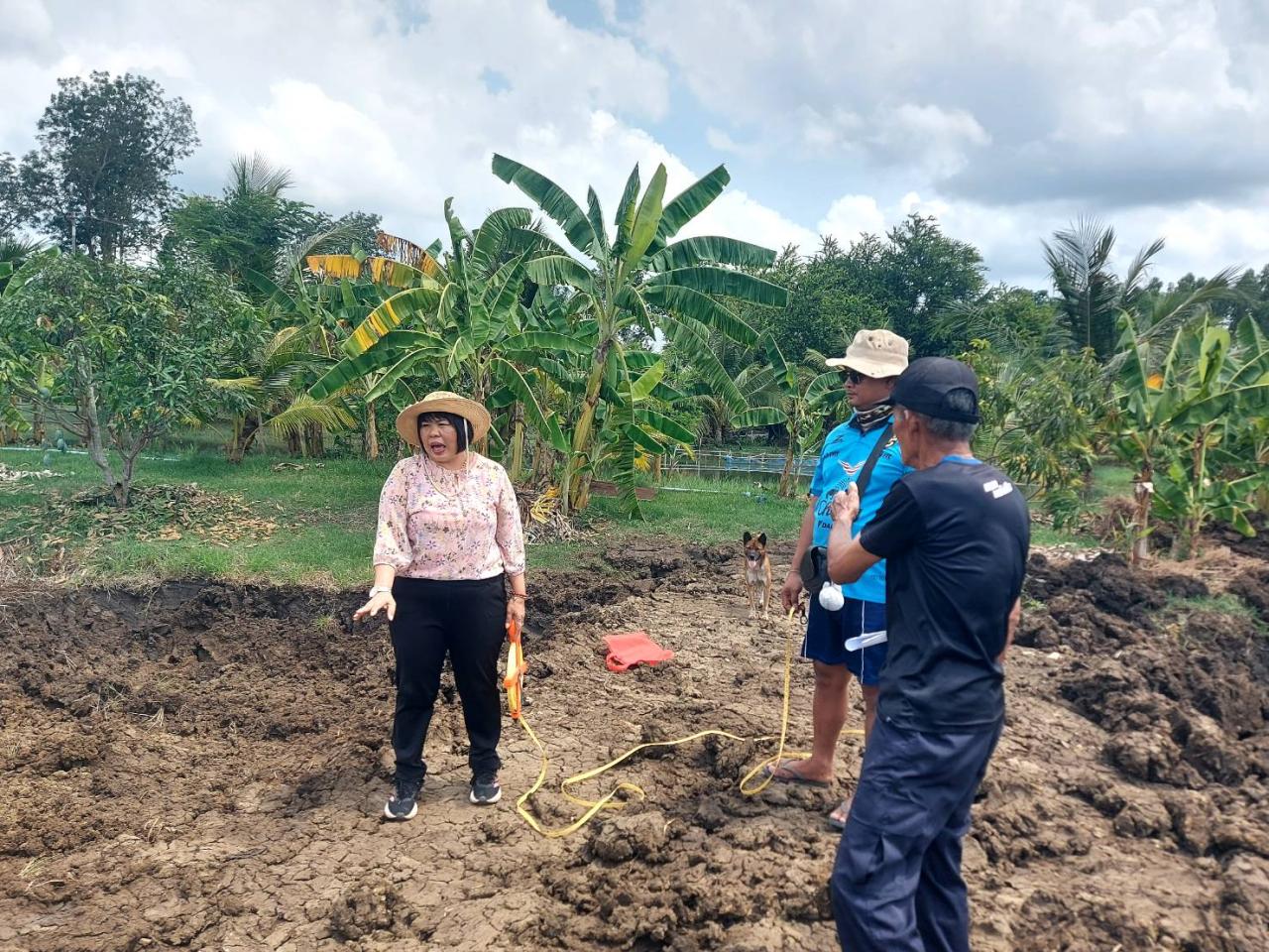 ภาพประกอบที่ 1