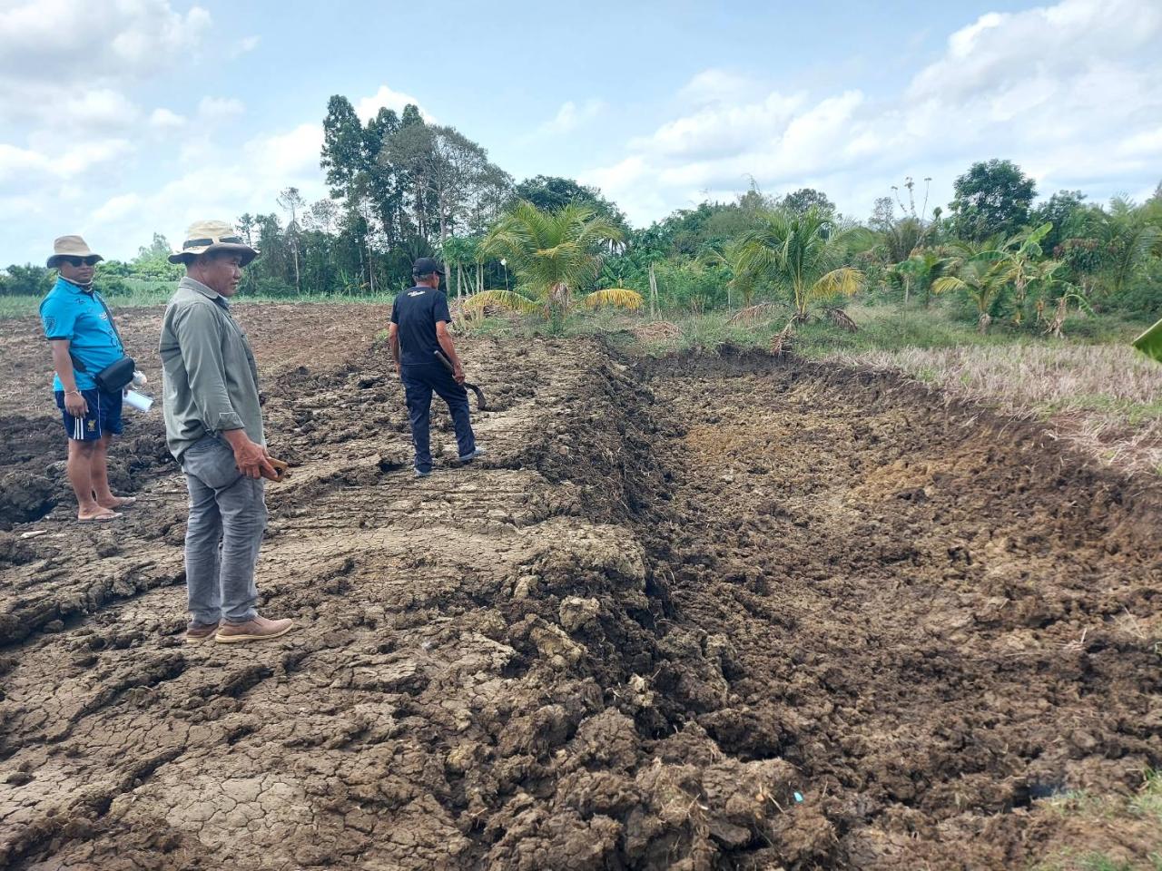 ภาพประกอบที่ 4