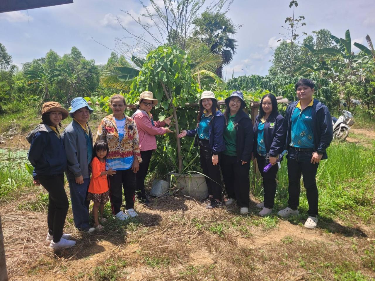 ภาพประกอบที่ 5