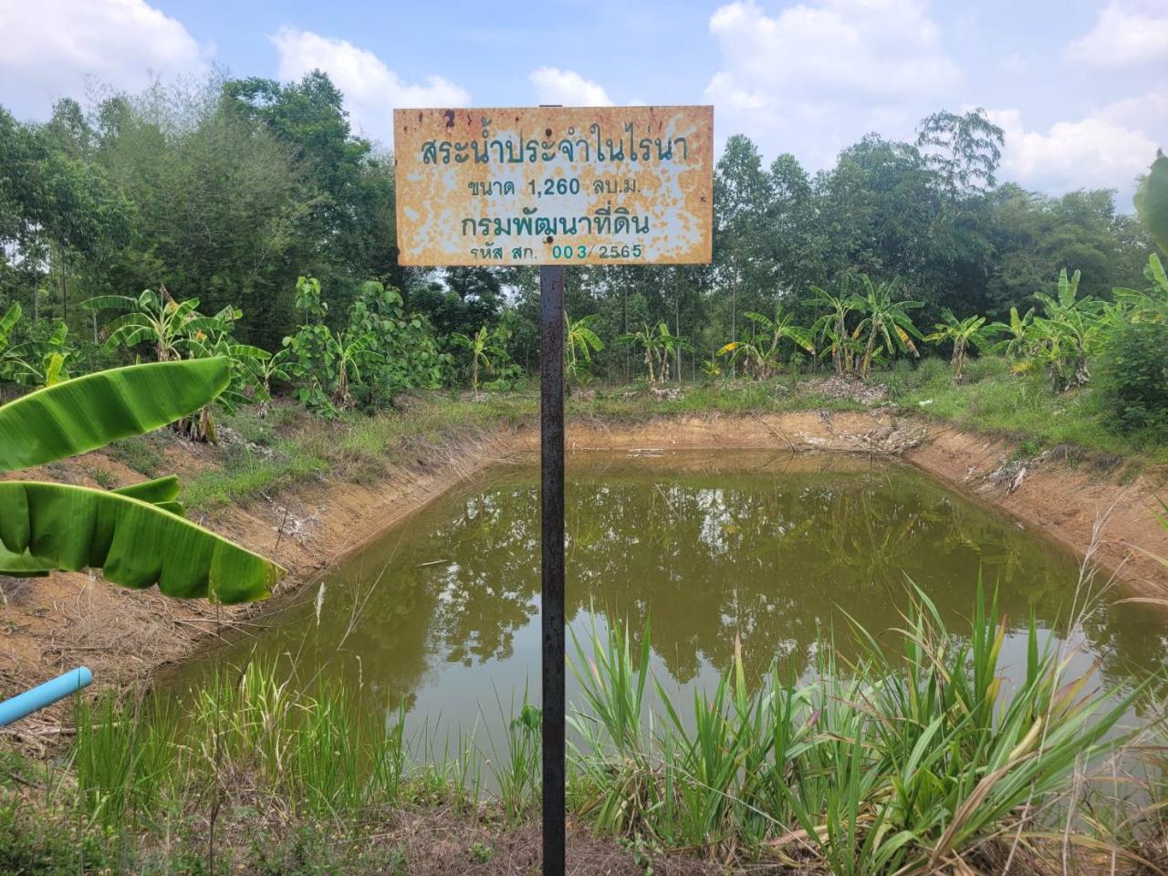 ภาพประกอบที่ 8