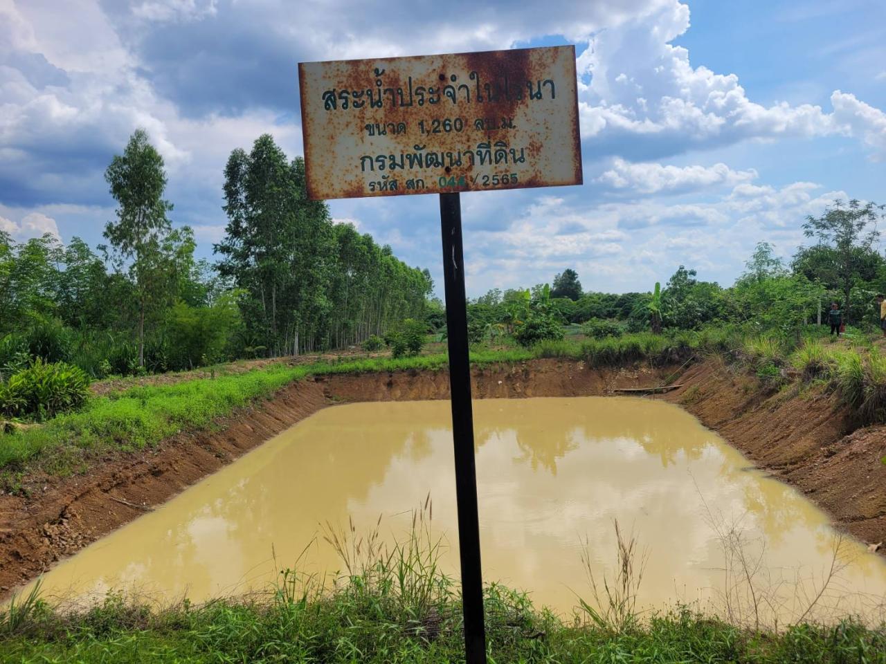 ภาพประกอบที่ 12