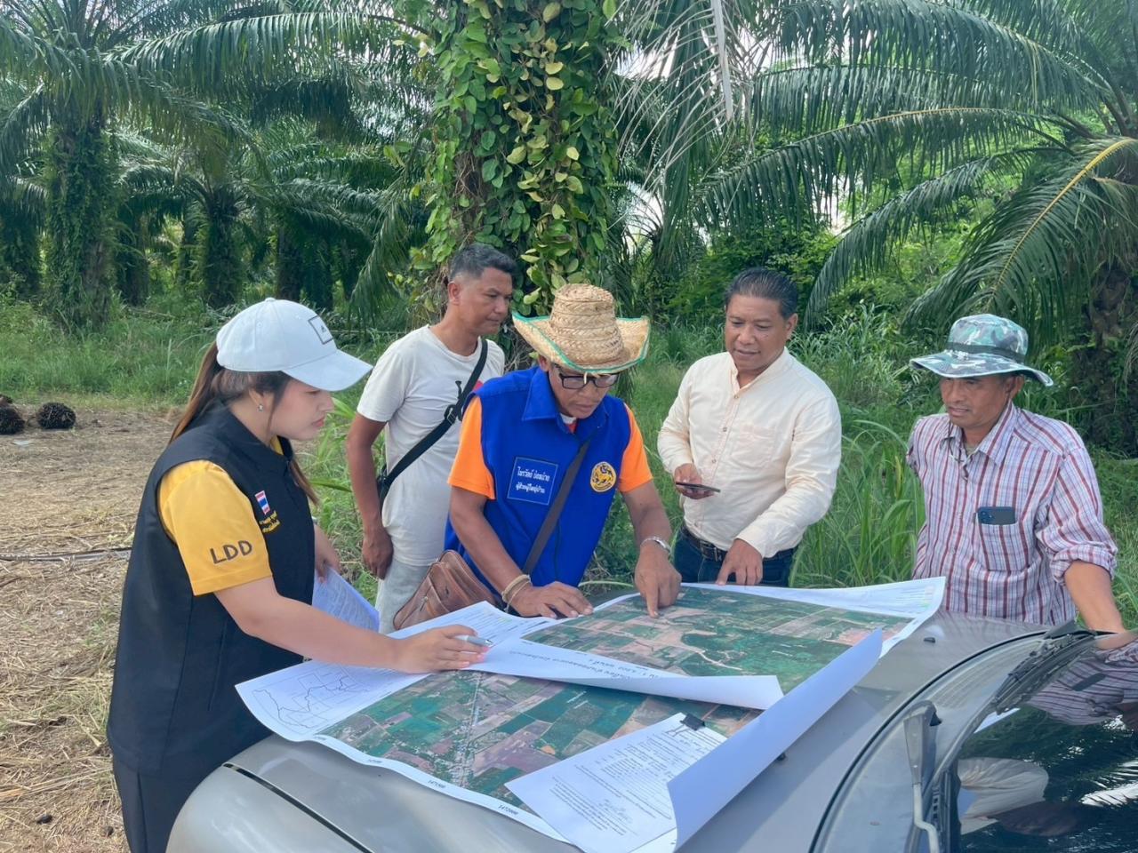 ภาพประกอบที่ 8