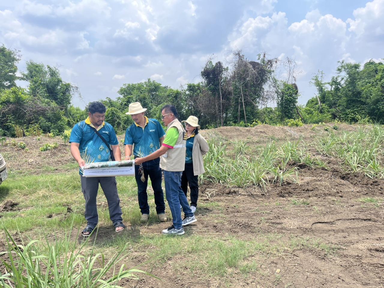 ภาพประกอบที่ 6