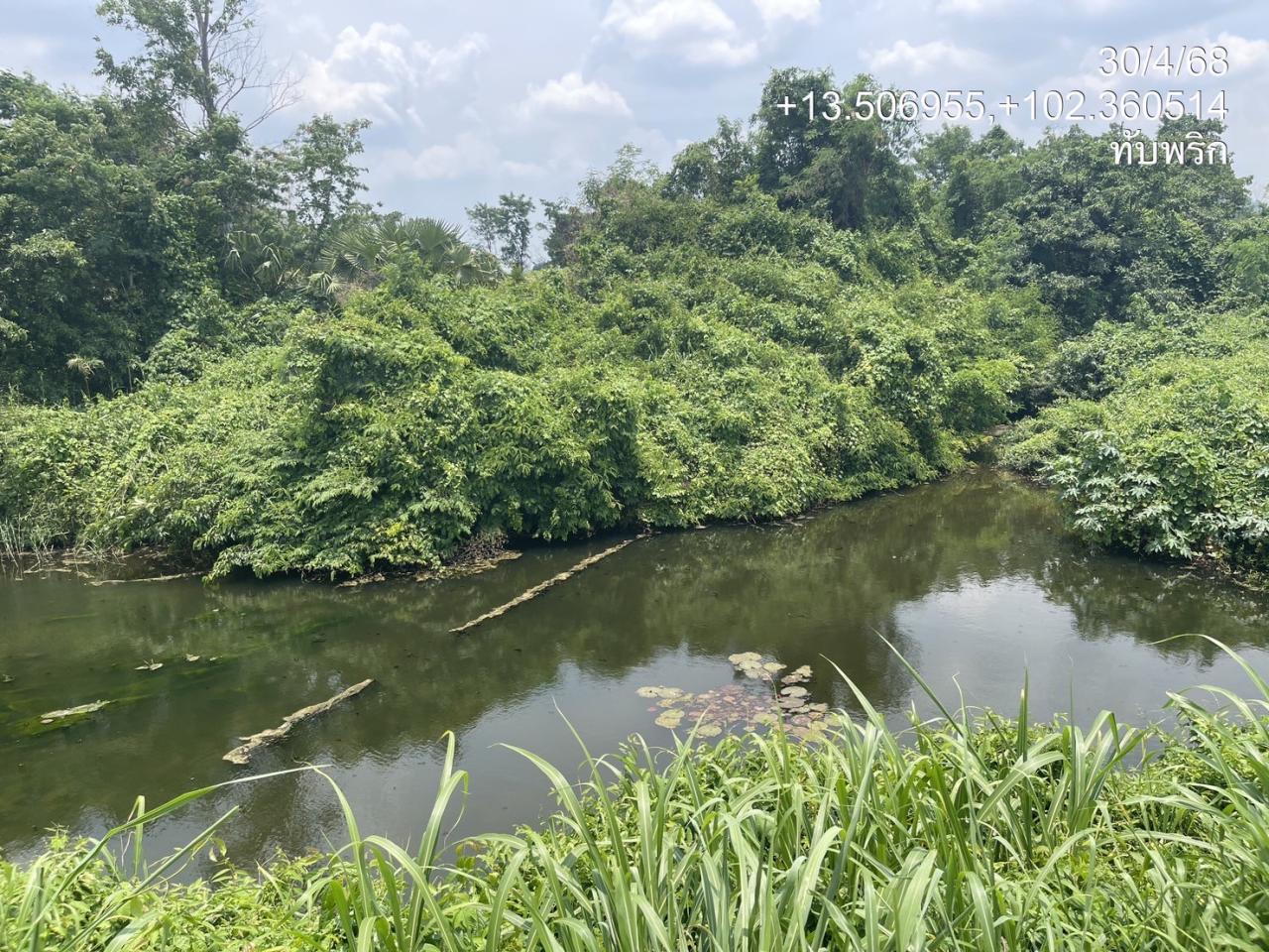 ภาพประกอบที่ 8