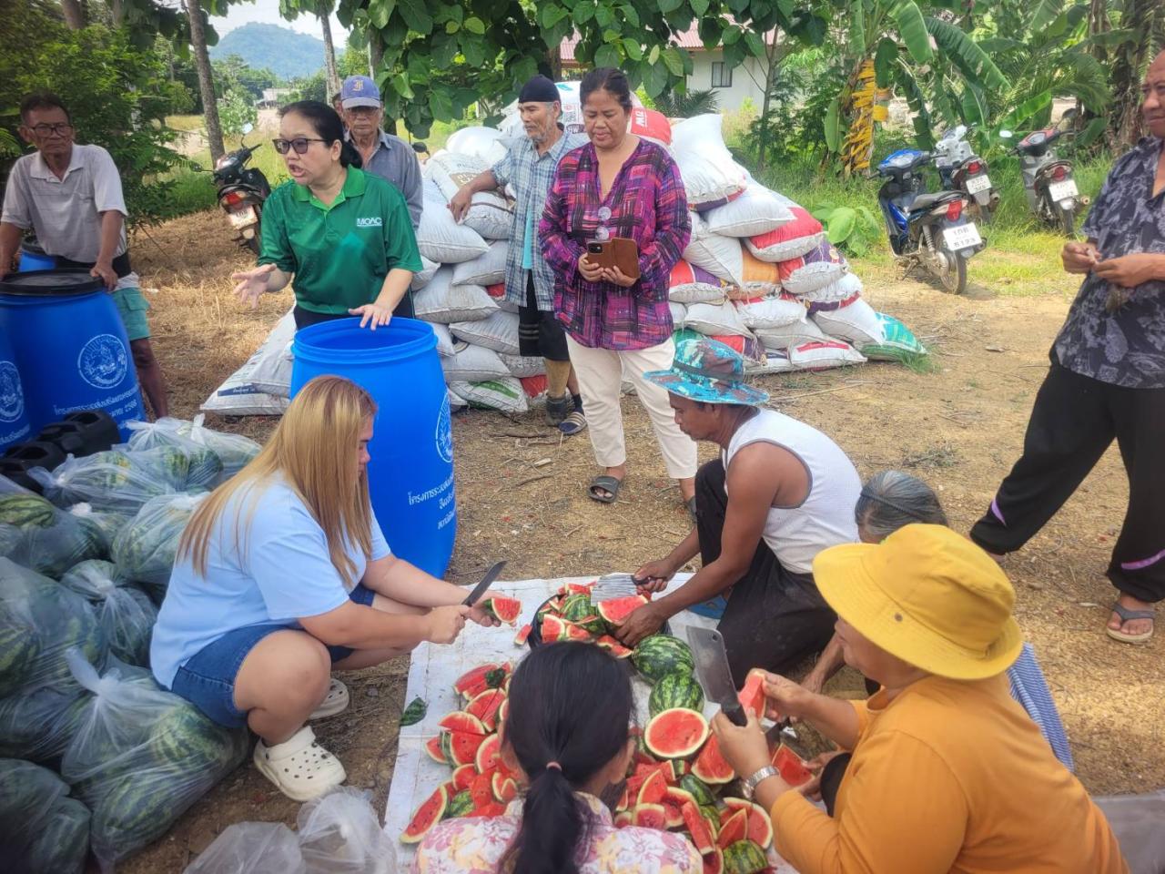 ภาพประกอบที่ 7