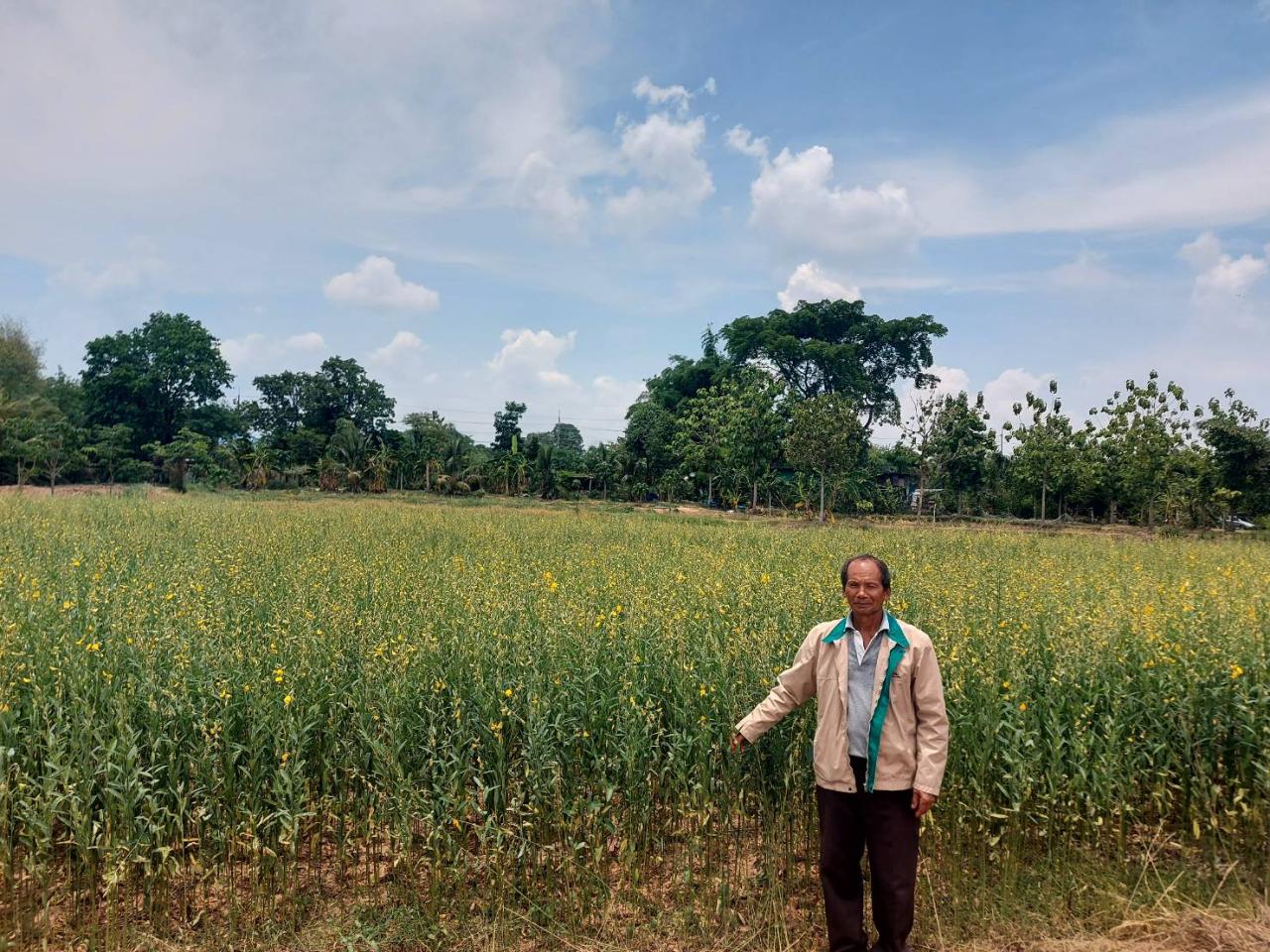 ภาพประกอบที่ 4