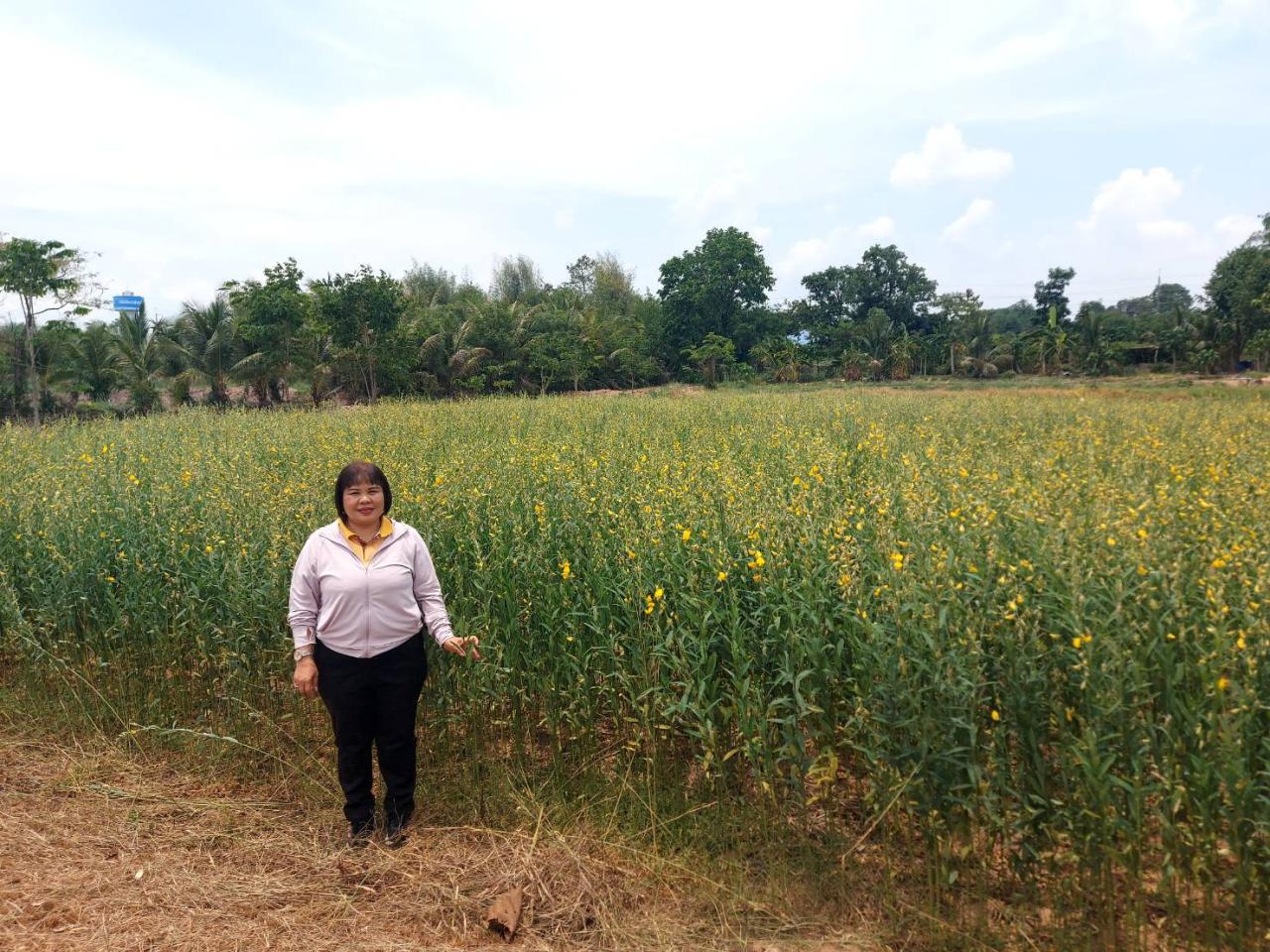 ภาพประกอบที่ 5