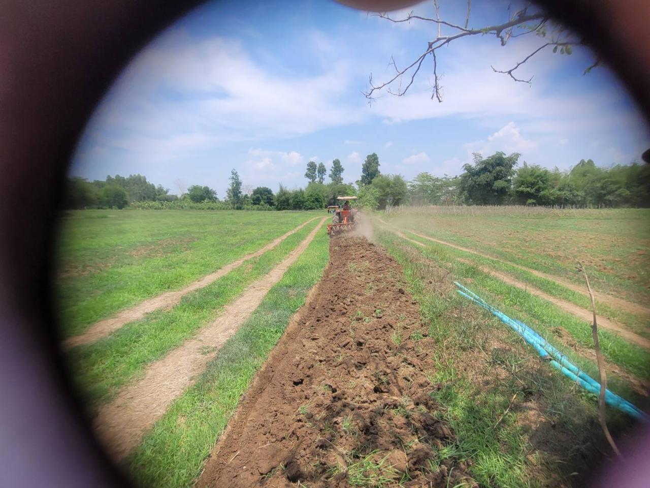 ภาพประกอบที่ 1