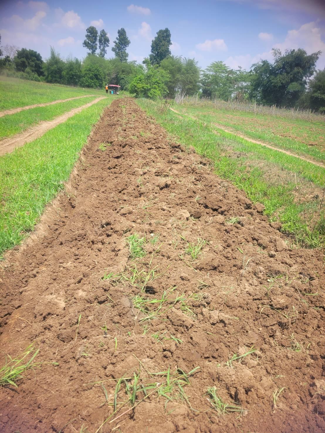 ภาพประกอบที่ 5