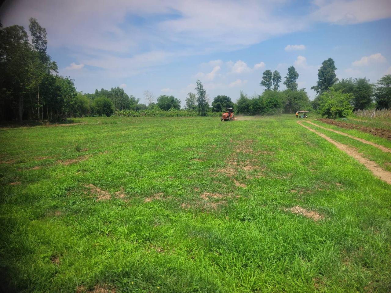 ภาพประกอบที่ 6