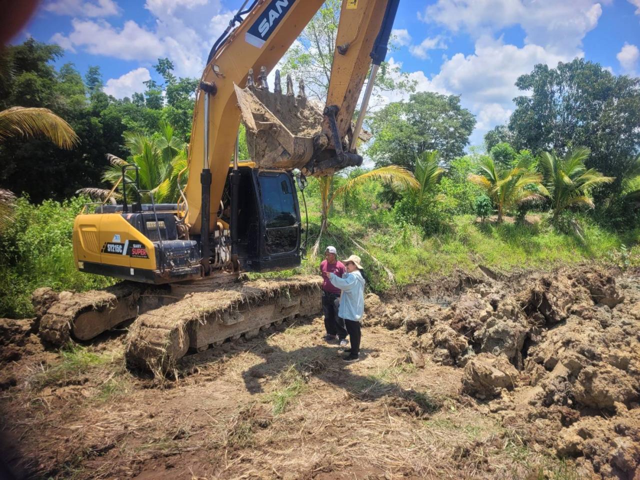 ภาพประกอบที่ 0