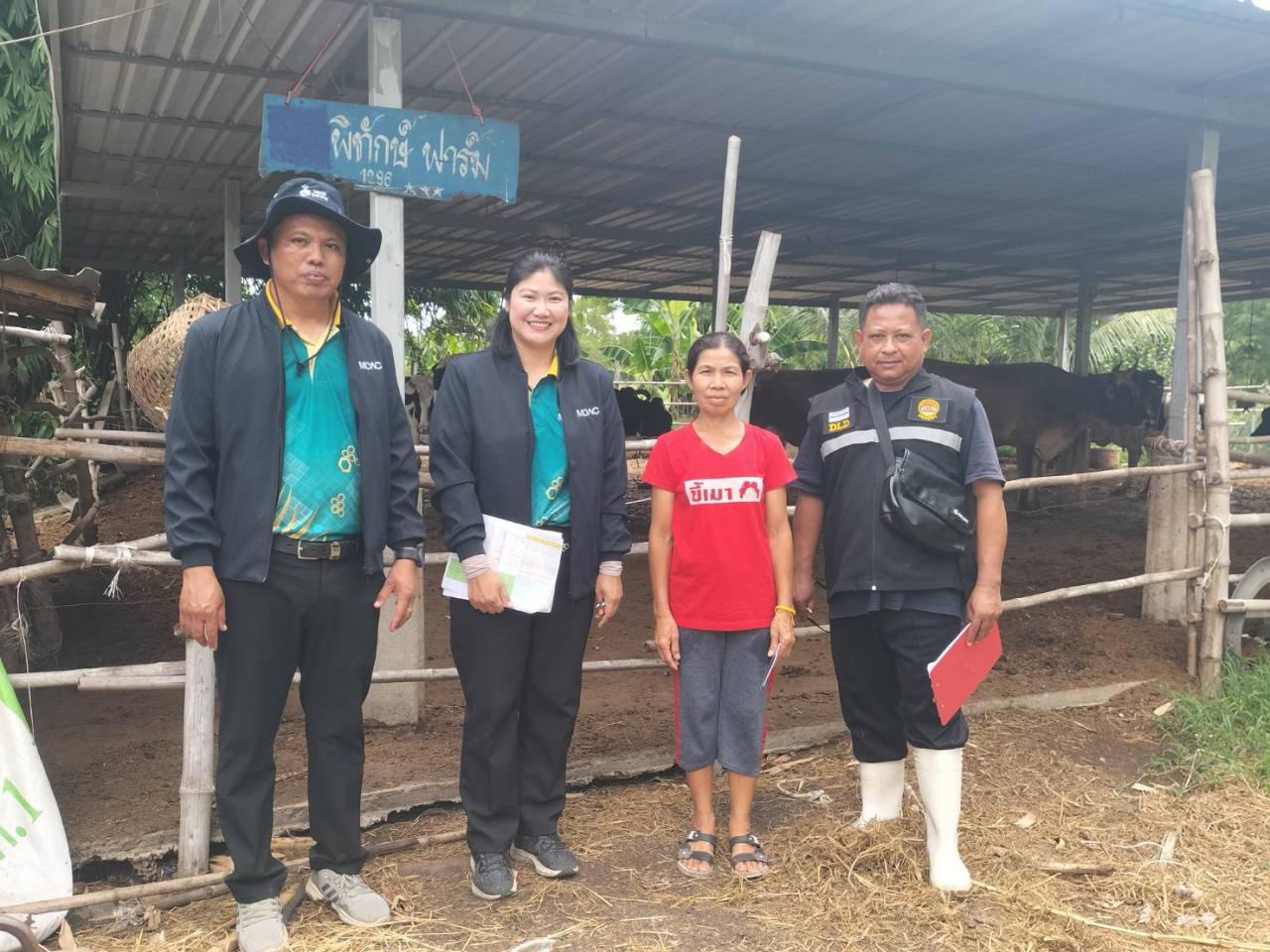 ภาพประกอบที่ 0